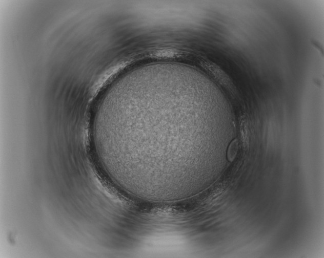 X0000103160728200809051659