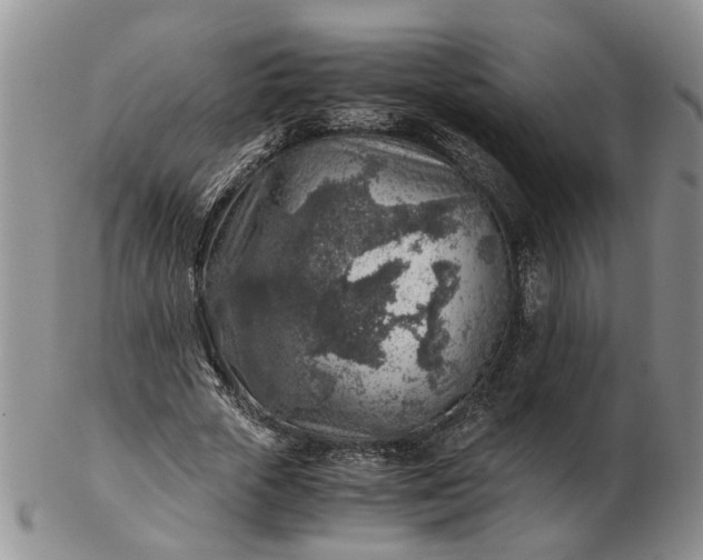 X0000103160729200809051659