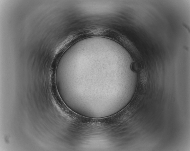 X0000103160730200809051659