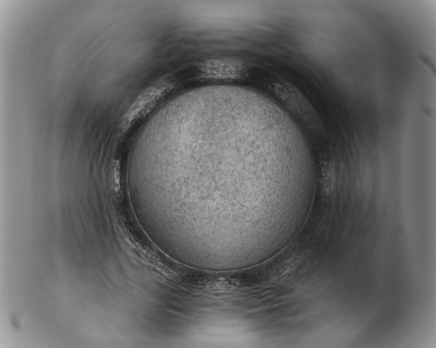 X0000103160731200809051659