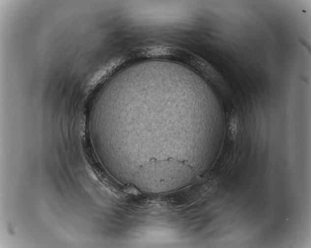 X0000103160732200809051659