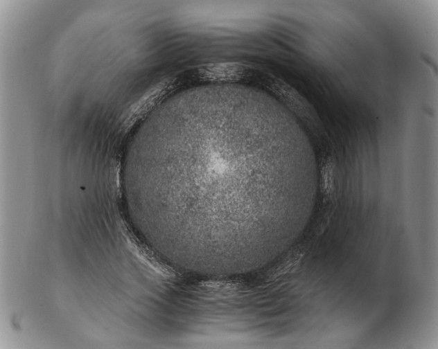 X0000103160733200809051659