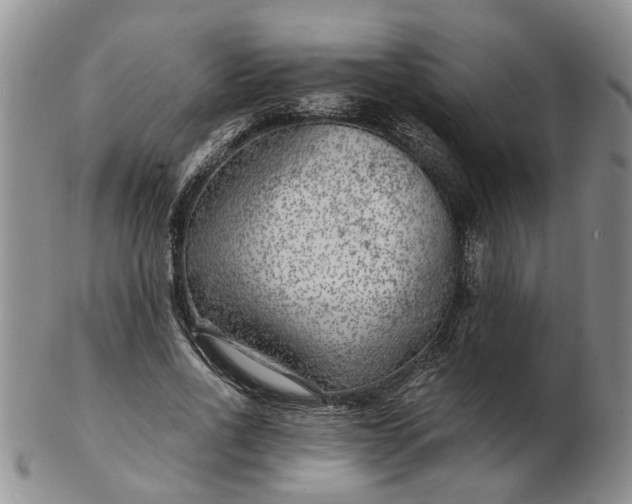 X0000103160734200809051659