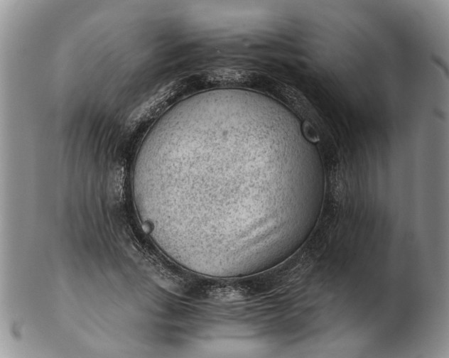 X0000103160735200809051659