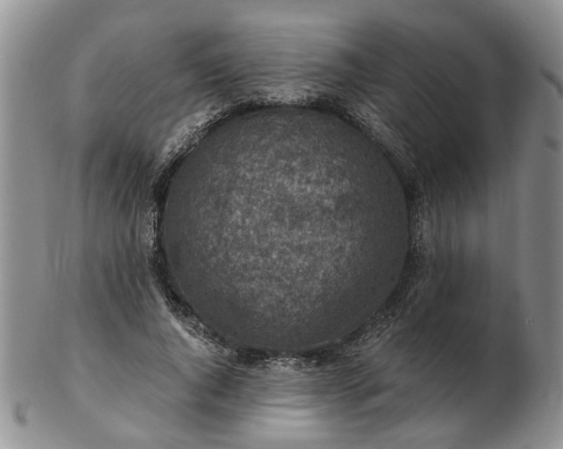 X0000103160736200809051659