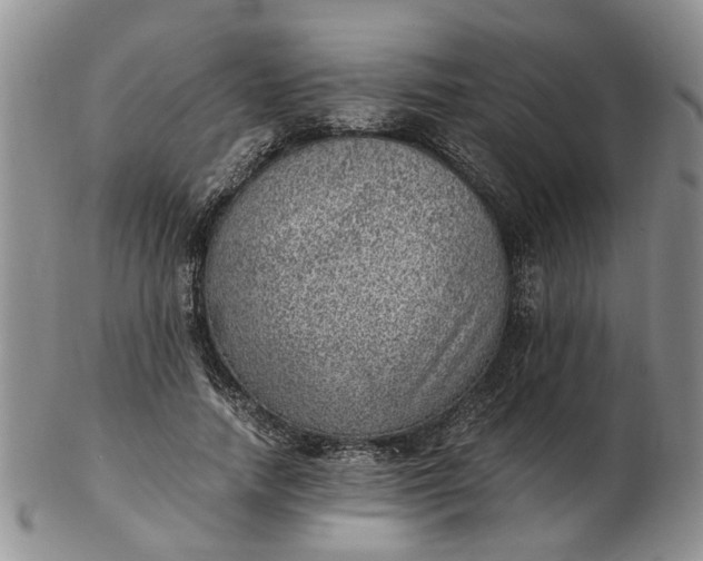 X0000103160738200809051659