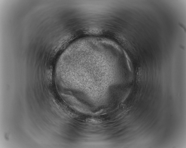 X0000103160739200809051659