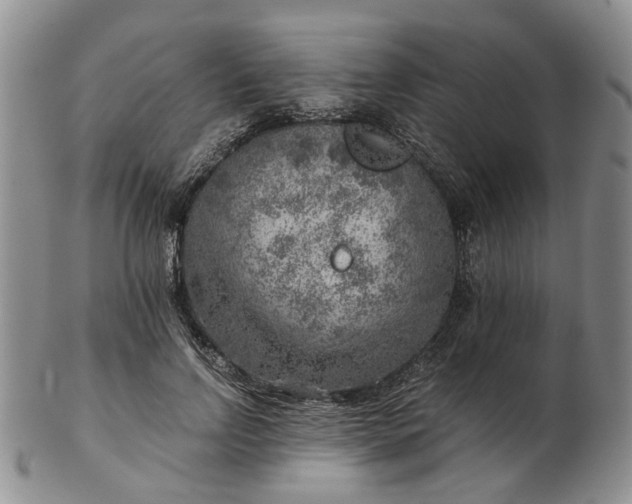 X0000103160742200809051659