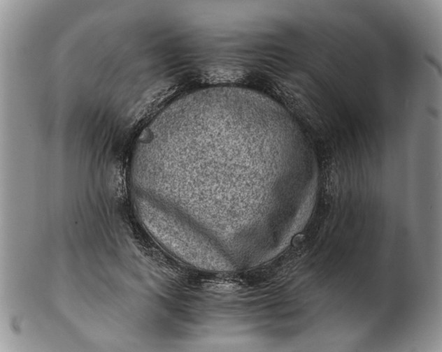 X0000103160743200809051659