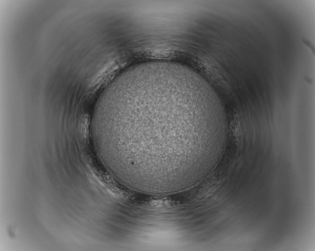 X0000103160744200809051659