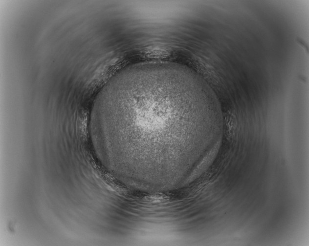 X0000103160745200809051659