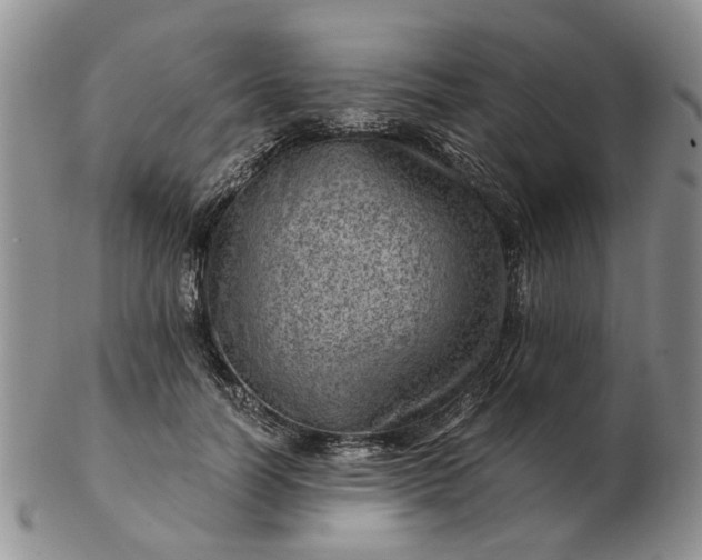 X0000103160746200809051659