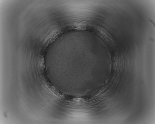 X0000103160748200809051659