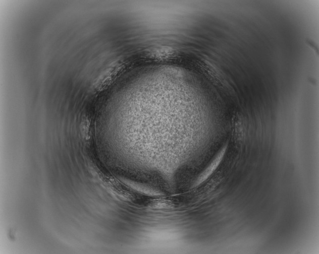 X0000103160750200809051659