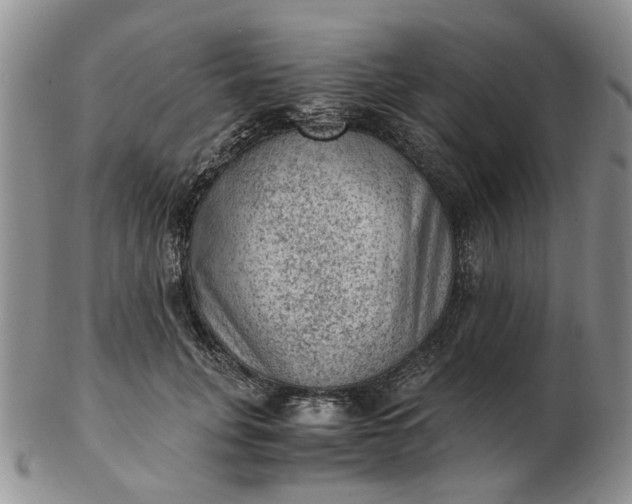 X0000103160751200809051659