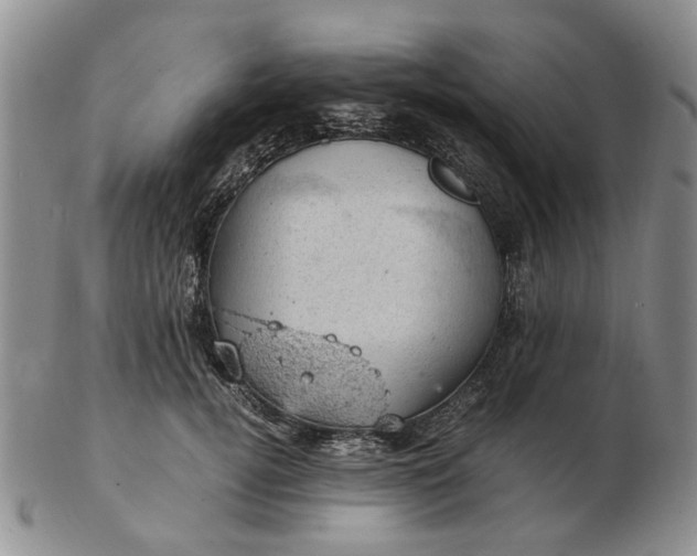 X0000103160752200809051659