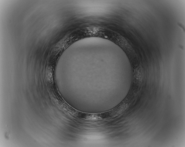 X0000103160754200809051659