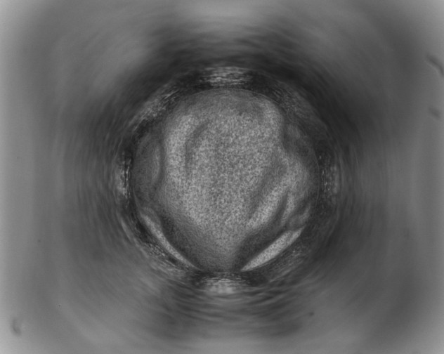 X0000103160755200809051659