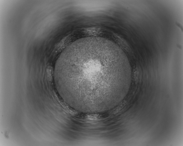 X0000103160757200809051659