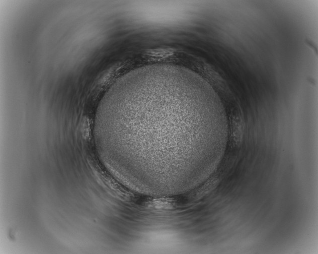 X0000103160758200809051659