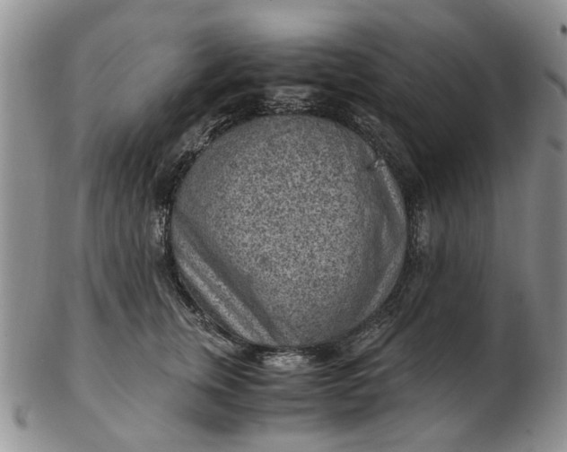 X0000103160759200809051659