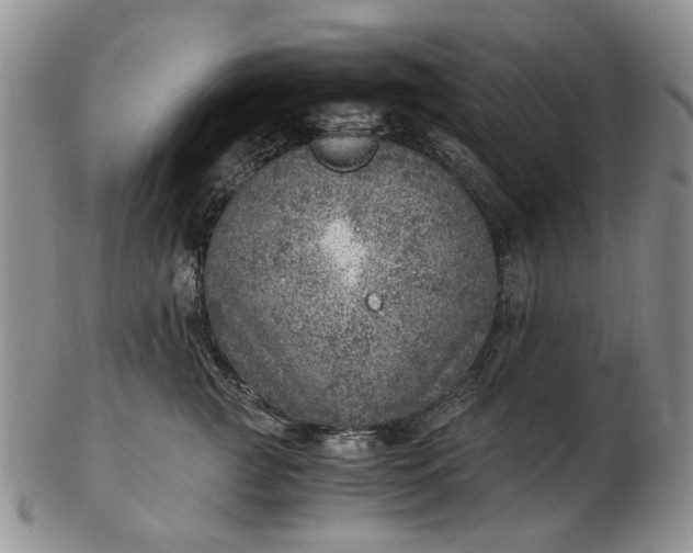 X0000103160761200809051659