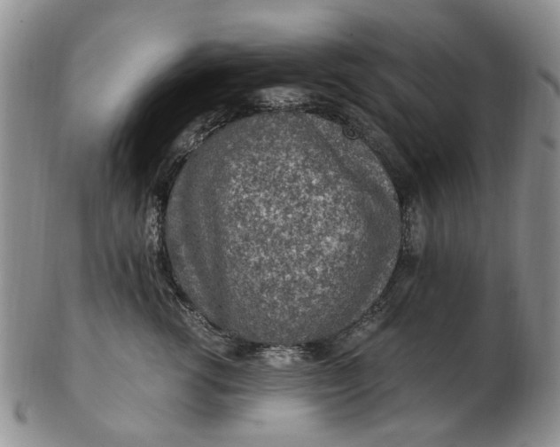 X0000103160762200809051659