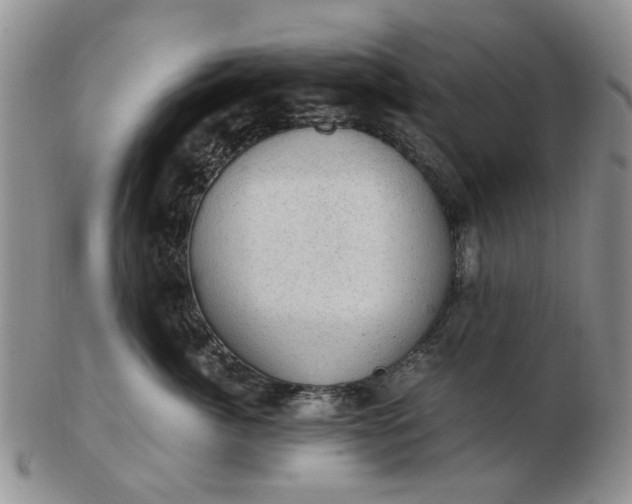 X0000103160764200809051659