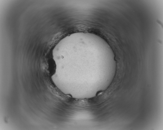 X0000103160768200809051659