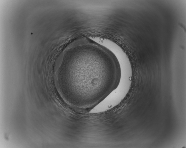 X0000103160769200809051659