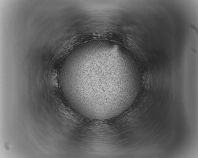 X0000103160770200809051659