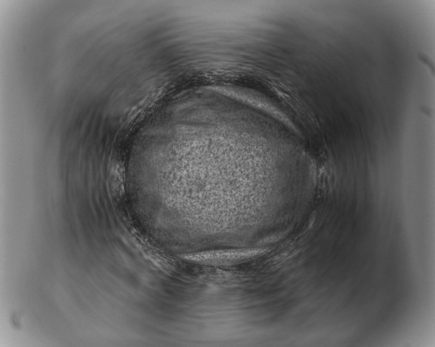 X0000103160772200809051658