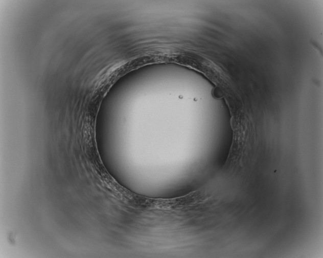 X0000103160773200809051658