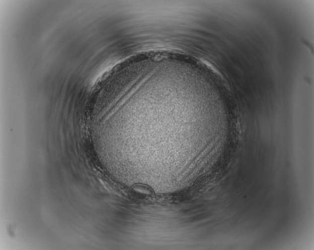 X0000103160775200809051658