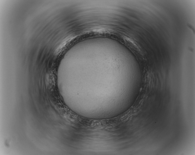 X0000103160776200809051658