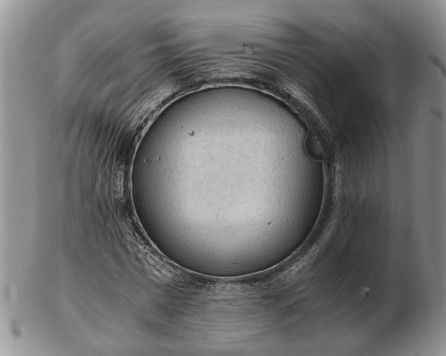 X0000103160777200809051658