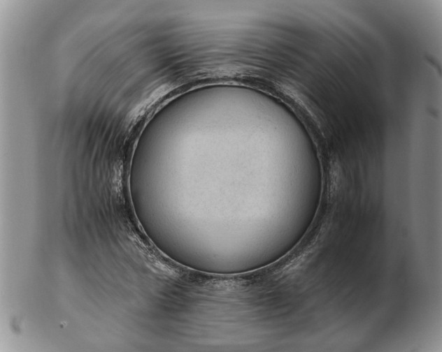 X0000103160778200809051658