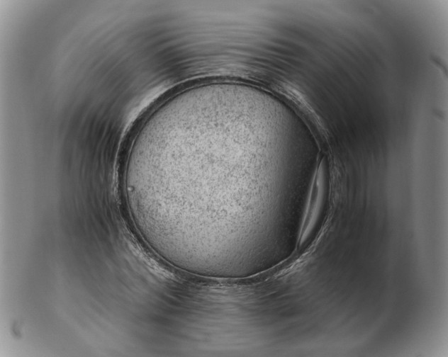 X0000103160780200809051658