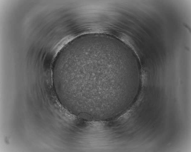 X0000103160781200809051658