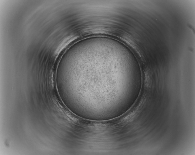 X0000103160782200809051658