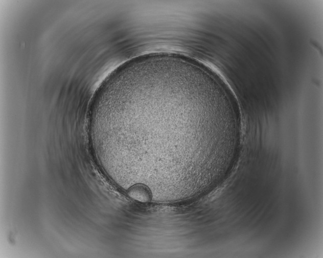 X0000103160783200809051658