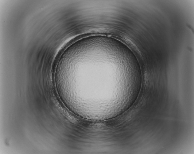 X0000103160784200809051658