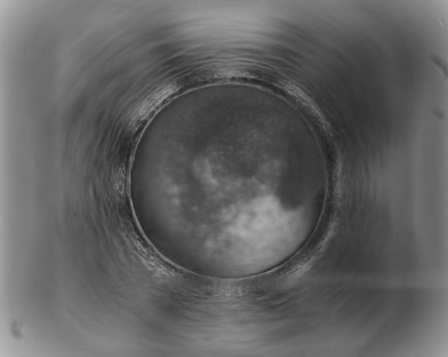 X0000103160785200809051658