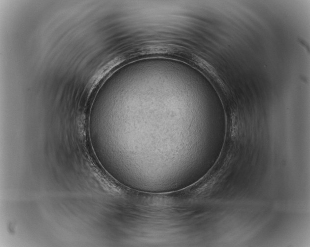 X0000103160786200809051658