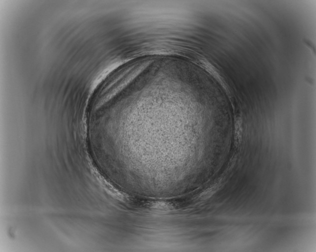 X0000103160787200809051658