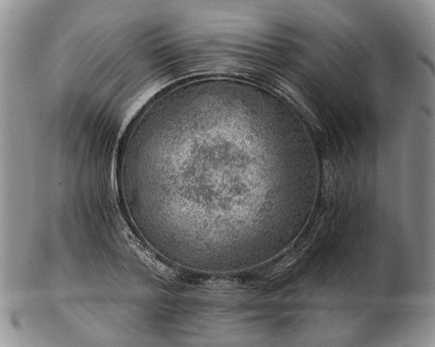 X0000103160788200809051658