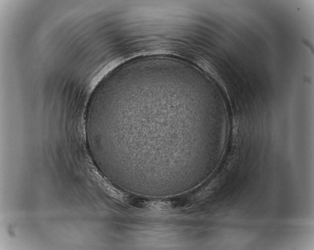 X0000103160789200809051658