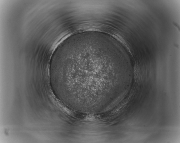 X0000103160790200809051658