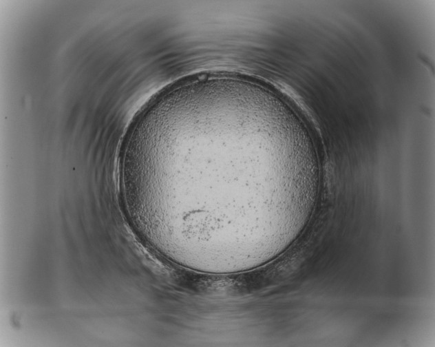 X0000103160791200809051658