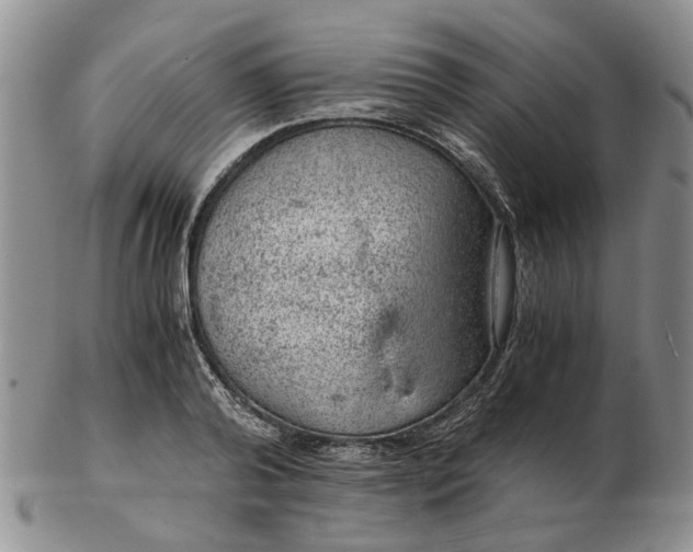 X0000103160792200809051658